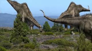 Dinosaur Discoveries Diplodocus [upl. by Eikcir]