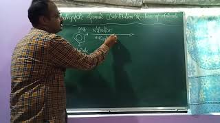 Nitration of anisole [upl. by Frydman]