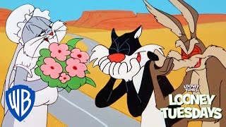 Looney Tunes Cartoons Bugs Bunny Daffy Duck Porky Pig Newly Remastered amp Restored Compilation [upl. by Brottman265]