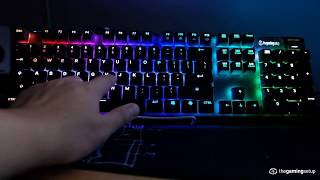 NEW SteelSeries Apex Pro Keyboard Review [upl. by Magnus]