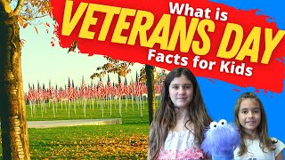 Why Do We Celebrate Veterans Day  Veterans Day Facts for Kids [upl. by Cade]