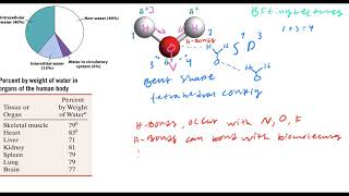 Lecture 2 Water Acids Bases and Buffers [upl. by Yerggoeg]