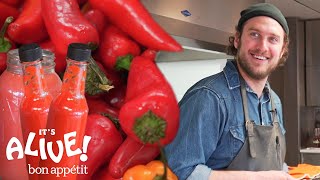 Brad Makes Fermented Hot Sauce  Its Alive  Bon Appétit [upl. by Arst]