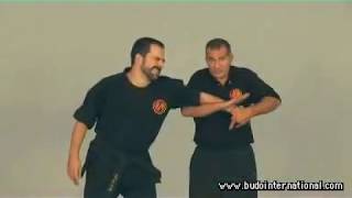 Kyusho Jitsu Gock´Ng ´Sing Evan Pantazi [upl. by Terrel]