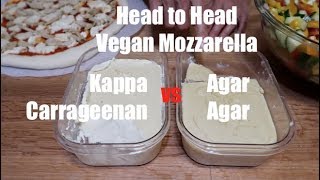 Vegan Mozzarella  Carrageenan vs Agar Agar  Head to Head [upl. by Annice808]