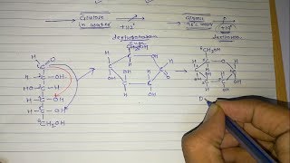 4 Sugar isomers Part3 Optical isomers [upl. by Drusus534]