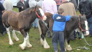 BALLINASLOE HORSE FAIR 2011 [upl. by Allesig351]