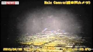 Inside Fukushima Nuclear Reactor [upl. by Phaedra]