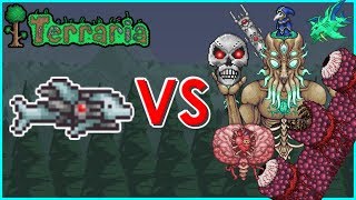 Terraria  SDMG vs All Bosses [upl. by Pollitt]