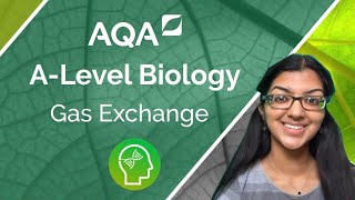 AQA A Level Biology Gas Exchange [upl. by Egedan]