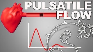 Pulsatile Flow [upl. by Notserp]