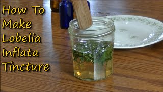 How to make Lobelia Tincture [upl. by Edric]