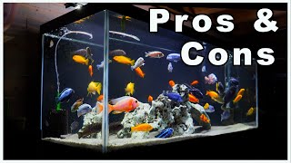 75 Gallon Aquarium Pros and Cons So Many Options [upl. by Oguh]