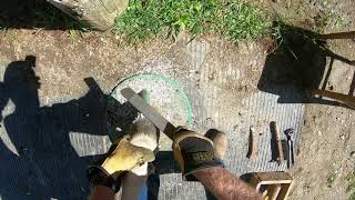 How to trim donkey hooves [upl. by Lladnar]