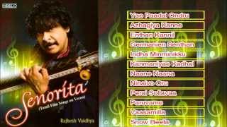 Rajhesh Vaidhya Veena  A Tribute To Isaignani Ilayaraja  Instrumental  Tamil Film Super hit Songs [upl. by Decker]