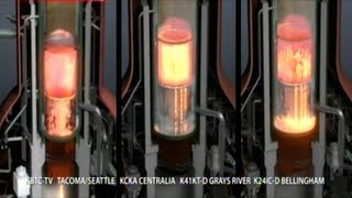 Video Shows Molten Material Inside Fukushima Nuclear Reactor [upl. by Sonahpets33]