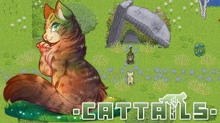 A Kitten Born for Wild Life 🐾 Cattails Mossies Journey  Episode 1 [upl. by Icnan741]