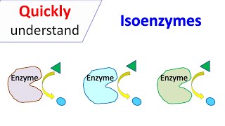 Isoenzymes [upl. by Kerge944]