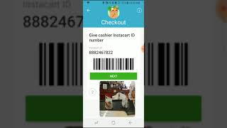 Instacart How to Check Out Loading Groceries Bagging [upl. by Oremodlab]