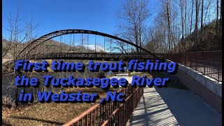 First time trout fishing Tuckasegee River Nc [upl. by Ais37]