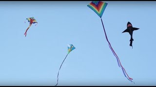 Kites  STEM in 30 [upl. by Mickelson]