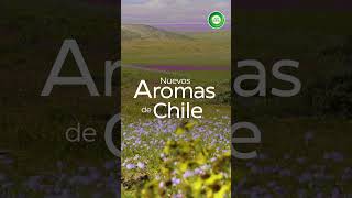 Aromas de Chile [upl. by Aratahs]