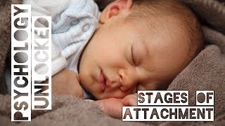 How Babies Form Attachments  Four Stages  Schaffer amp Emerson [upl. by Schlenger482]