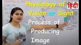 Physiology of Vision  Mechanism of Vision  Internal Physiology of Eye  Parts Functions [upl. by Peadar849]