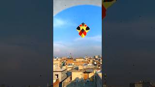 Big kite Flying  6 Tawa  How to fly kite  Kite flying tips and tricks [upl. by Boote]