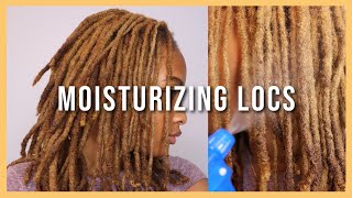 HOW I KEEP MY LOCS MOISTURIZED THICK COLOR TREATED LOCS  Kennedi Leigh [upl. by Wadell490]