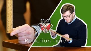 Reaction Time  GCSE Science Required Practical [upl. by Riane190]