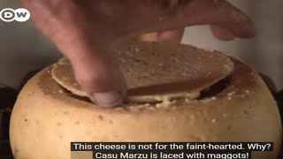 This Cheese is Banned Across the World [upl. by Notaes486]