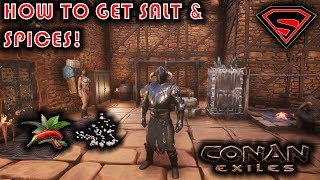 CONAN EXILES HOW TO GET SPICES AND SALT [upl. by Acemat]