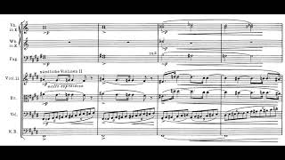 TANNHÄUSER by Richard Wagner Audio  Full Score [upl. by Eltsirc342]