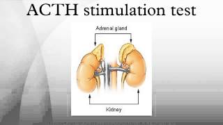 ACTH stimulation test [upl. by Enala]