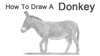 How to Draw a Donkey [upl. by Hephzipa]