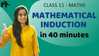 Mathematical Induction Class 11 in Hindi [upl. by Nwahsuq]