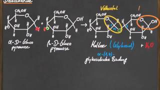 Q 11 Disaccharide [upl. by Leirbaj827]