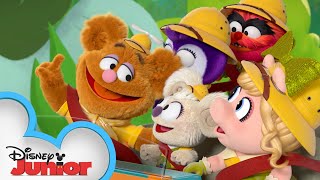 Backyard Safari  Muppet Babies  disneyjr [upl. by Cecile]