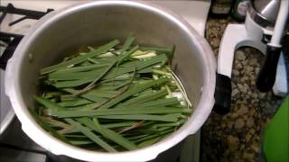 Oil Extraction from Herbs with DIY Kitchen Still [upl. by Hawley]