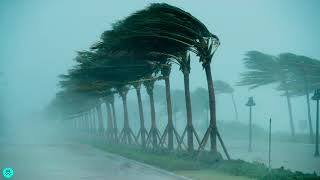 Sound Effects  Storm Winds Hurricane [upl. by Osrit]