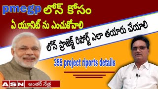 pmegp loan teluguunits project report detailsAntharnetra [upl. by Craner223]