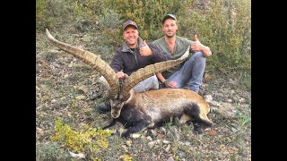 IBEX HUNT  Spanish Ibex Grand Slam  Hunting in Spain [upl. by Lamprey]