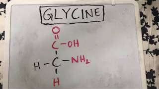 Glycine Structure  Amino Acid Basics [upl. by Arhsub616]