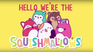 Squishmallows Song  Lyric Video [upl. by Lenox128]