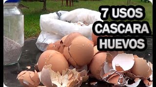 7 Usos De La Cascara De Huevo En El Huerto O Jardin  La Huertina De Toni [upl. by Fishman]