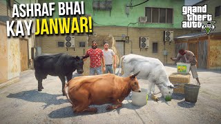 ASHRAF BHAI JANWAR LE AYE  FUNNY MANDI SERIES BAKRA EID 2021 EPISODE 3  GTA 5 MODS PAKISTAN [upl. by Ayifas]