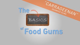 Carrageenan  The Basics of Food Gums [upl. by Ahsiena95]