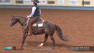 2020 AQHA Senior Ranch Riding [upl. by Aneerbas167]