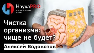 Чистка организма чище не будет  Большая лекция – врачтоксиколог Алексей Водовозов  Научпоп [upl. by Moshell848]